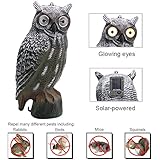 YOFIT Realistic Owl Decoy Scarecrow Solar Powered, Pest Repellent Garden Protector, Scare Away Mice, Birds, Squirrels, Other Destructive Pests (Owl)