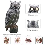 YOFIT Solar Bird Scarecrow Fake Horned Owl Decoy, Bird Repellent Garden Protectors, Natural Enemy Pest Deterrent Scarecrow
