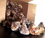 Beef Knee Caps for Dogs | 60 Pack | 100% Natural Bulk Dog Treats From 123 Treats