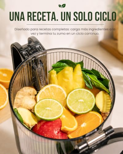 LINKChef Juice Extractor for Fruits and Vegetables, Cold Press Juicer 250 W with Wide Mouth 13 cm, Slow Juicer BPA Free, 1.8 L, Easy to Clean, Recipes Included