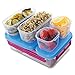 Rubbermaid LunchBlox Leak-Proof Entree Lunch Container Kit, Large, Beet Red