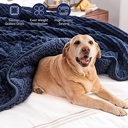 Pawque Sherpa Fleece Weighted Blanket Twin Size 15lbs for Adult, Fuzzy