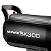 Neewer® 300W 5600K Bowens Mount Photo Studio Strobe Flash Light Monolight with Lamp Head for Studio,Location and Portrait Photography (SK300)