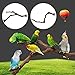 astolily Bird Standing Stick, Wild Grape Wood Pole Bird Cage Perches, Natural Wooden Stand Toy Branches for Cockatiels Parakeets Finchesthumb 2