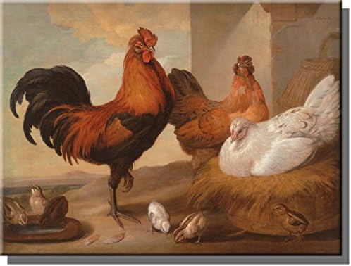 Rooster And Chicken Picture On Stretched Canvas Wall Art Decor Ready To Hang.