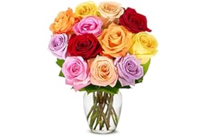 From You Flowers - One Dozen Rainbow Roses with Glass Vase (Fresh Flowers) Birthday, Anniversary, Get Well, Sympathy, Congrat