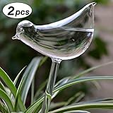 Calunce 2pcs Small Hand Blown Clear Glass Self Watering Aqua Globes (large bird)