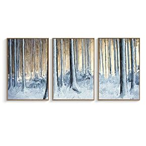 NWT Framed Canvas Wall Art for Living Room,...