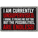 Retro Aluminum Sarcastic Metal Sign "I'm Currently Unsupervised" Funny Poster, 8''x12''/30cm*20cm, Suitable for Outdoor Wall Decoration, Street, Yard, Porch, Garage, Home, Cafe, Bar, Club, Man Cave, Shop, Farm, Garden Wall Art Tin Sign, Holiday Gift