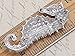 Alilang Aurora Borealis Crystal Rhinestone Seahorse Fish Convertible to Pendant Animal Brooch Pin