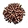 100% Original & Natural and Pure 7 Mukhi/Faced Nepali Rudraksha | 7 Mukhi Rudraksha | 7 Face Rudraksha | Seven Face Rudraksha | Seven Mukhi Rudraksha | Original 7 Face and Seven Mukhi Rudraksha