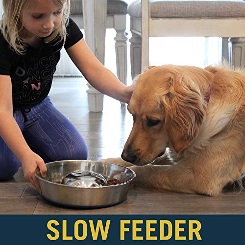 OurPets DuraPet Slow Feeder Dog Bowls - Premium Stainless Steel Dog Bowl (Durable Dog Bowls, Slow Feeder Dog Bowls, Dog… - Image 4