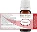 Thyme Essential Oil 10 ml. 100% Pure Undiluted Therapeutic Grade.