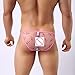 Men Underwear, Franterd Sexy Briefs Breathable Translucent Underpants