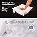 EDOW Luxury Throw Pillow Insert, Soft Fluffy Down Alternative Polyester Square Form Decorative Pillow Insert,Sham Stuffer,Cotton Cover for Sofa, Couch,Bed and Car. (White, 18x18)