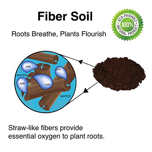 4 Two+Cavity+Seed+Germination+Trays
