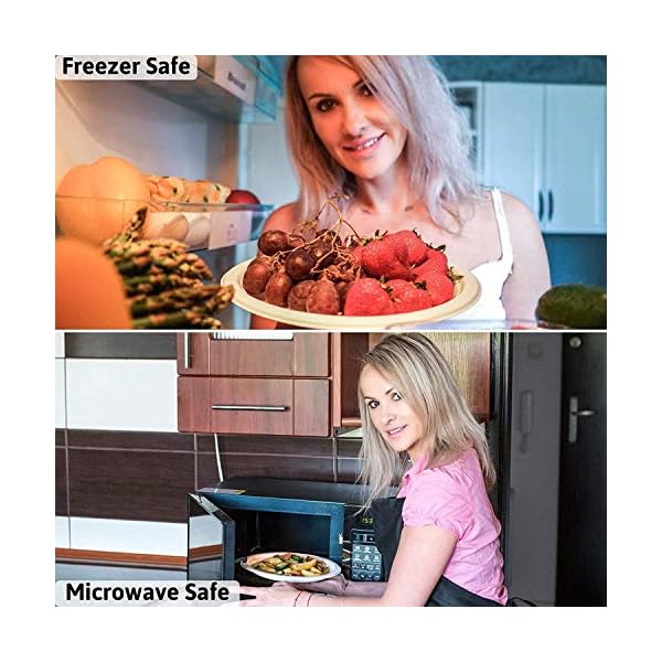 320-Pcs-Disposable-Tableware-Set-Bundle-Biodegradeable-50-Plate-50-Fork-50-Knife-50-Spoon-50-Napkin-50-Skewer-20-Coffee-Stick-Wooden-Microwaveable-Strong-Home-Party-Picnic-Commercial-Use 50 Guests Disposable Tableware Set Bundle Biodegradeable 50 Plate 50 Fork 50 Knife 50 Spoon 50 Napkin 50 Skewer 20…