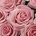 famibay 10pcs Artificial Flowers Rose Bouquets Vantage Fake Silk Rose Flowers with Leaf and Plastic Stem for Home Wedding Party Mother's Day Garden Hotel Decoration Pink