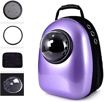 ipn mur porteur prix