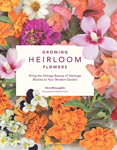 Growing Heirloom Flowers: Bring the Vintage Beauty of Heritage Blooms to Your Modern Garden - Thumbnail 3