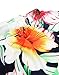 Happy Sailed Women Prom Floral Off Shoulder Bodycon Maxi Dress for Evening, Small Navy Blue