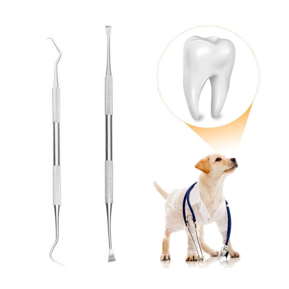 Dog Plaque Remover Dog Tooth Scaler and Scraper with Different Angles Double Head Tooth Scraper with Different Angle Descaler for Dogs and Cats