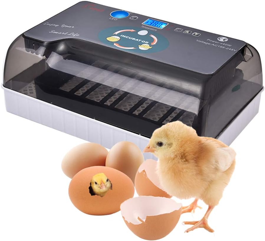 Fovolat | 4-35 Eggs Digital Fully Automatic incubators with Automatic Egg Turning for Hatching Quail Eggs, Chicken Eggs, Duck Eggs, Bird Eggs, etc.