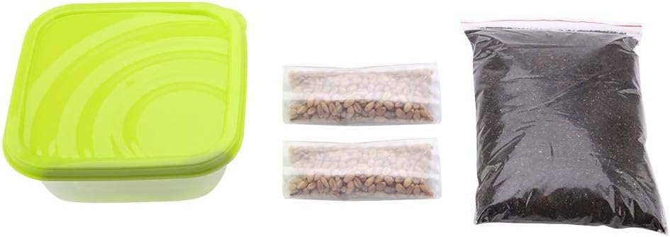 Cat Grass Seeds Kit, Grow Wheat Grass Seed Germination Kit for Cats Kitten Rabbit Guinea Pig Include Soil and Package Box