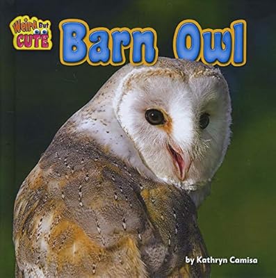 Barn Owl Weird But Cute Kathryn Camisa 9781943553273 Amazon