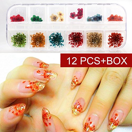Perfectsummer 12 Colours 3d Dry Real Dried Flower Nail Art Tips Diy Decoration Kit Set Buy Online In Jersey At Jersey Desertcart Com Productid 51302586
