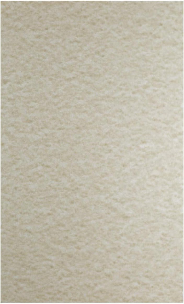PaperPapers Parchtone AGED - 8.5 x 14 Parchment Card Stock - 80lb Cover - 200 PK