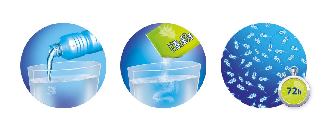 BUKI 125 - Urzeitkrebse 6