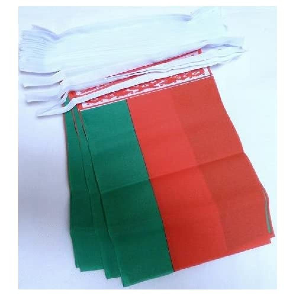 AZ FLAG Belarus Bunting Flag, 20 Ft Garland with 20 Small Belarusian Flags 8'' x 6'', 100% Polyester String Pennant, 6 meters — image 1
