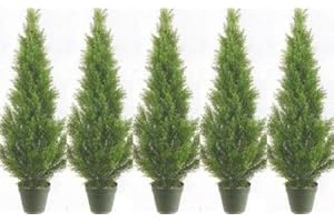 TRESIL Five 3 Foot Artificial Cedar Topiary Trees Potted Indoor or Outdoor