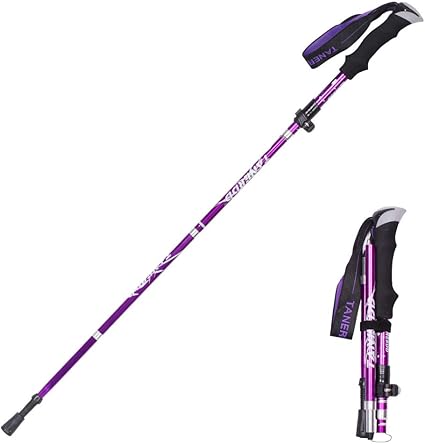 camp trekking pole