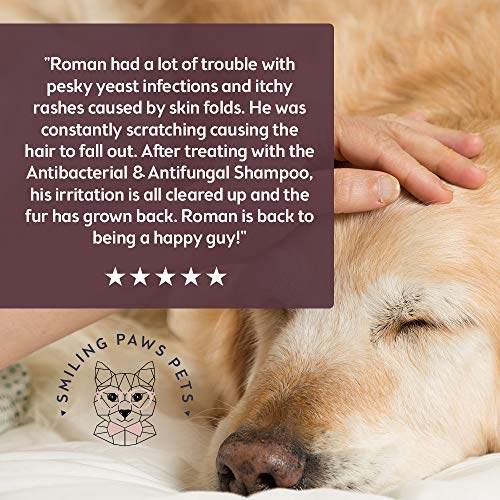 Antibacterial & Antifungal Shampoo For Dogs & Cats Contains