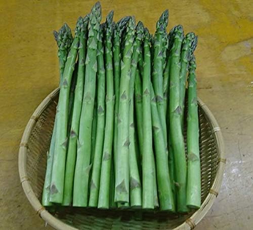 Amazon ｊａ全農にいがた 津南町産アスパラガス ｌバラ １ ２ ｊａ全農にいがた 野菜 通販