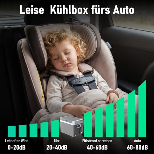 45L Elektrische Kühlbox, Thermoelektrische Auto Kühlbox mit Rollen 12V/230V Kühl & Warm Funktion mit Energiespar-/MAX/ECO-Modus, für Camping, Picknick, Leise