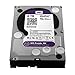 WD Purple NV 6TB Surveillance Hard Disk Drive - Intellipower SATA 6 Gb/s 64MB Cache 3.5 Inch - WD6NPURX