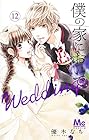 僕の家においで Wedding 第12巻