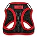 Best Pet Supplies Voyager Step-In Air Dog Harness - All Weather Mesh, Reflective, No Pull Harness for Small, Medium Dogs, Cats - Secure with Hook & Loop Fastener, Buckle, Double D-Rings - Red Trim, S