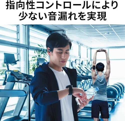 Mua JVCKENWOOD HA-NP35T-A Victor Wireless Earphones