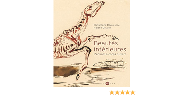 Beautes Interieures Degueurce Christophe Delalex Helene Amazon Com Books