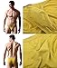 JINSHI Mens Briefs String Bikini Sexy Thong Underwear 12-Pack XXL