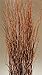 Green Floral Crafts - 36 inch Classic Mahogany Red Bamboo Floor Vase & Birch Branches