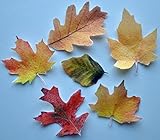 Autumn Wafer Edible Leaves ~ Edible Wafer Paper Sheet ~ BUY TWO GET THIRD FREE!