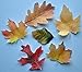 Autumn Wafer Edible Leaves ~ Edible Wafer Paper Sheet ~ BUY TWO GET THIRD FREE!
