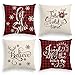 AVOIN Christmas Saying Throw Pillow Cover, 18 x 18 Inch Winter Holiday Buffalo Plaid Farmhouse Cushion Case for Sofa Couch Set of 4