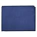Aquis Adventure Microfiber Sports Towel, Blueberry