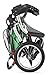 Schwinn Turismo Double Swivel Stroller, Green/Black